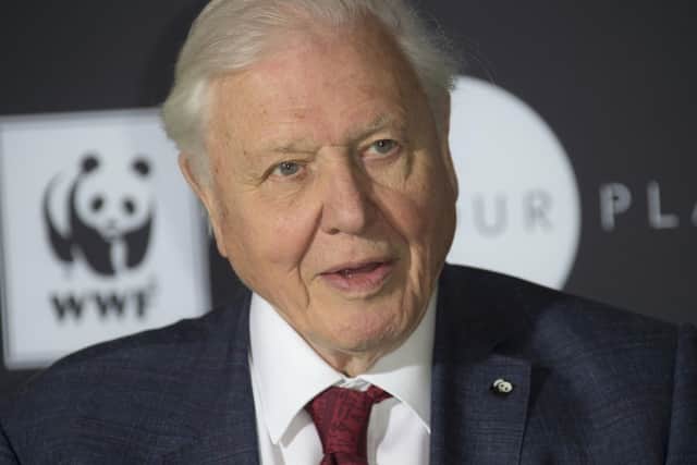 Sir David Attenborough poses for photographers upon arrival for a WWF announcement and State of the Planet Address ahead of the launch of the Netflix documentary 'Our Planet'. Picture: Joel C Ryan/Invision/AP
