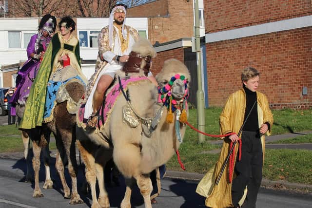 The camels walking through Leigh Park last year. Picture: Supplied