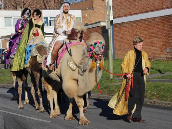 The camels walking through Leigh Park last year. Picture: Supplied
