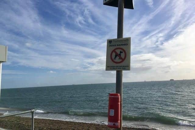 Dogs will be allowed on Southsea beach for an extra month