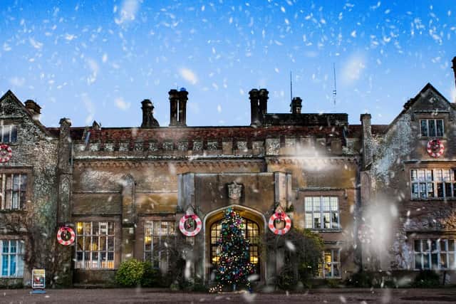 Marwell Zoo winter wonderland. Picture: Marwell Zoo