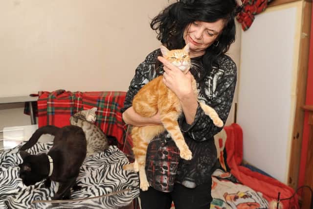 Tracey rescued two of her cats from Greece and is an animal lover. Picture: Habibur Rahman