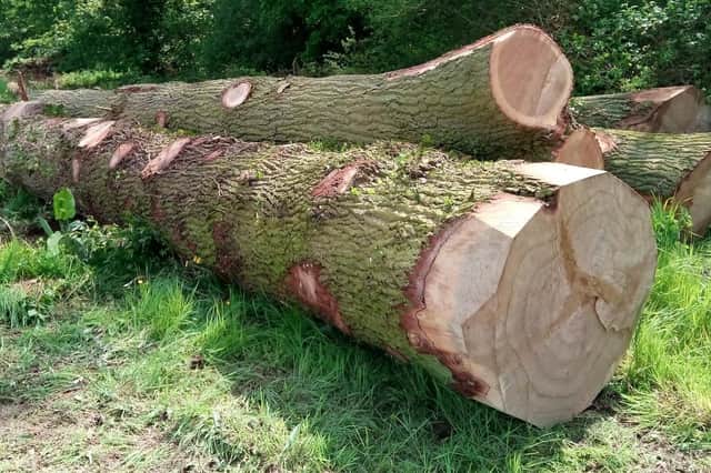 The court took action over felled trees