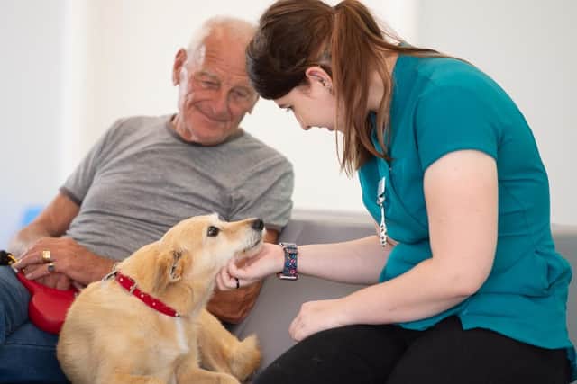 The trial service will begin at the end of November. Picture: The vet