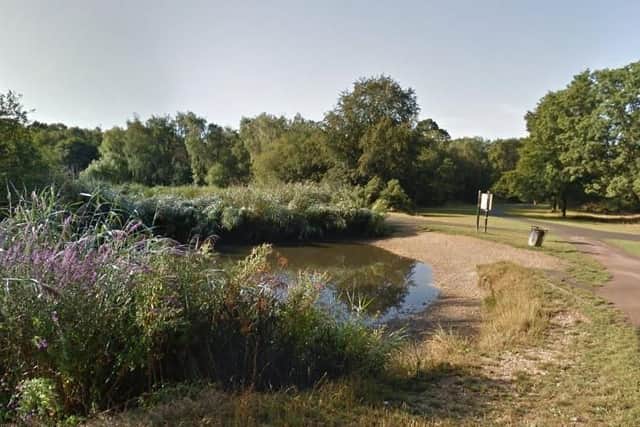 The body was found by Ornamental Lake on Southampton Common. Picture: Google Maps