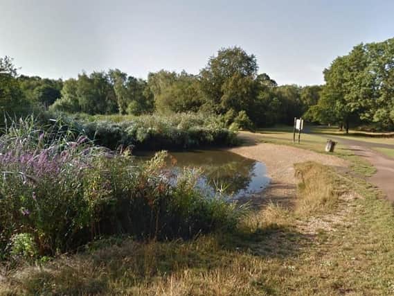 The body was found by Ornamental Lake on Southampton Common. Picture: Google Maps