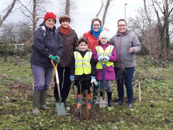 Pupils and staff from Westover Primary School plant trees for Queen's Commonwealth Canopy project