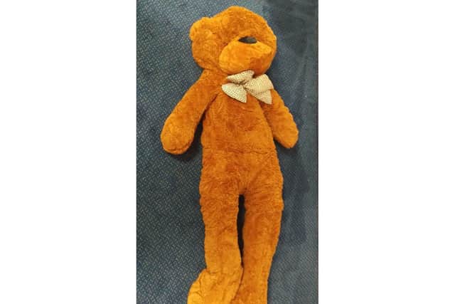 A 'deadly' teddy bear seized with hundreds of others by Trading Standards at Portsmouth City Council. Picture: Portsmouth City Council