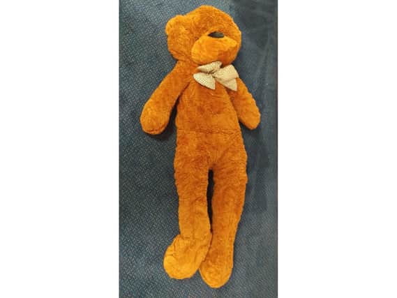A 'deadly' teddy bear seized with hundreds of others by Trading Standards at Portsmouth City Council. Picture: Portsmouth City Council