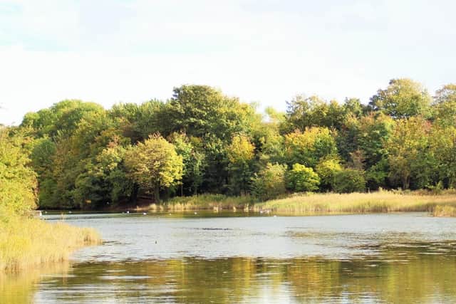 Hilsea Lines.
Picture: Tracy Goddard, Waterlooville / T.G.Photography(c)