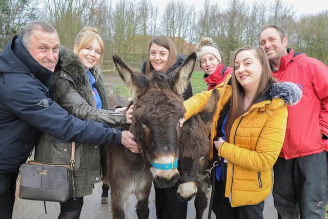 Cherry team, Nigel Rolfe, Emily Upton, Jade Thomas and Katie Fitzpatrick with Tracey and Paul Hunt of Hayling Island Donkey Sanctuary and two donkeys. Picture: Habibur Rahman