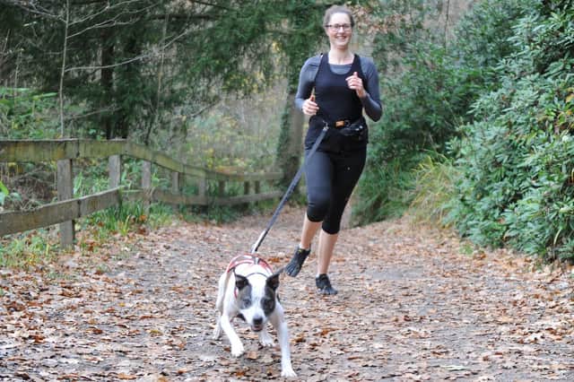 27/11/18
Dog jogger
Stacey Price has began an unusual career of dog jogging as part of her dog care business, 'On the ball walkies'.
Stacey Price pictured with her dog, Billy at Holly Hill Park, Sarisbury green
Picture :Habibur Rahman