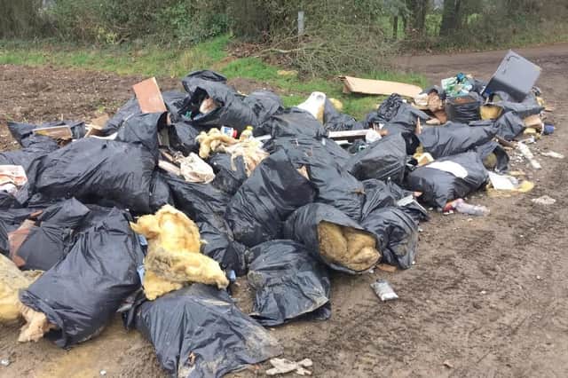 Photos of fly-tipping in Pithill Lane in Denmead. Pictures: Cameron McMurchie