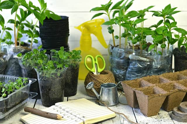 Keep a gardening diary in 2019.