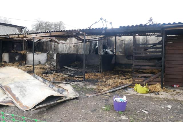 Seven stables backing on to three units were completely destroyed. Picture: Habibur Rahman (030119)