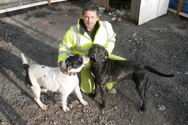 Guard dogs Magic and Luna at the site with their owner Terry Philips.