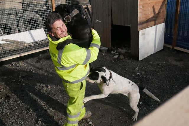 Guard dogs Magic and Luna at the site with their owner , Terry Philips
Picture: Habibur Rahman