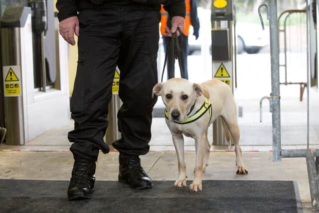 Skye the drugs dog
Picture: Habibur Rahman