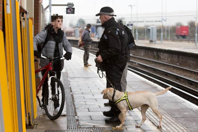 Skye the drugs dog
Picture: Habibur Rahman