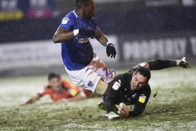 The Gaffer for the Day would start Omar Bogle against Doncaster. Picture: Joe Pepler