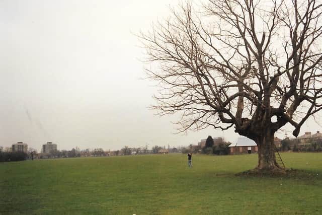 This massive expanse of land is the former playing fields of Oak Park School now all built on.