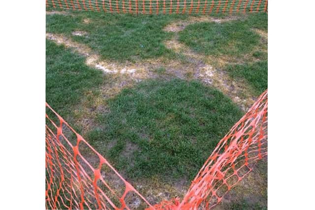 Lee Rangers had to put off football matches after someone put graffiti of male genitals on the pitch. Picture: Alex Scott-Evans