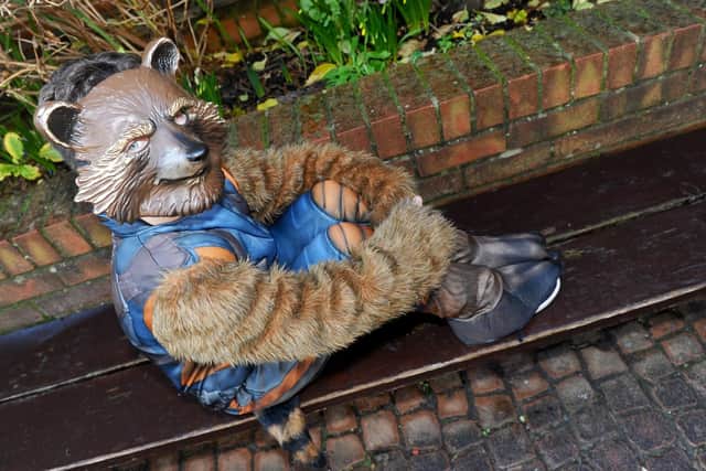 Joshua Moore, nine, was Rocket Raccoon Picture: Sarah Standing (150219-9222)