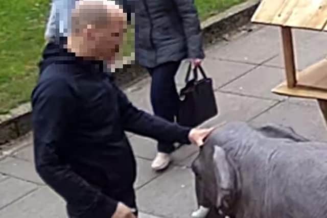 CCTV from outside the shop. Picture: Sparkies Emporium