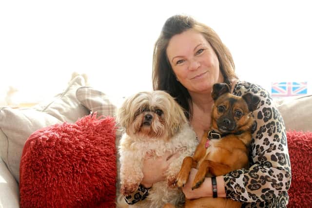 Mary Burgess, founder of the Animal Star Awards, with her dogs Romana, a Romanian crossbreed and Gracie-Lou a Shihtzu.
Picture: Sarah Standing (190219-1450)