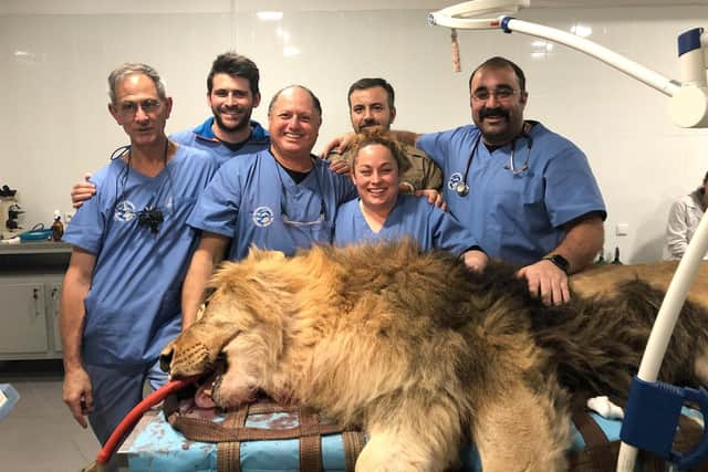 Paul Cassar, centre, and his team from International Animal Rescue with a lion