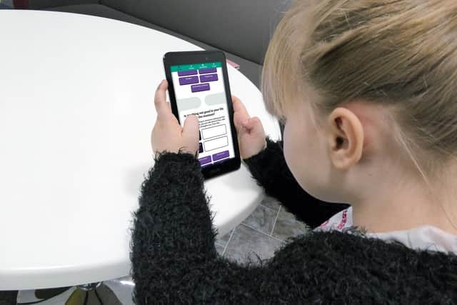 Concerns have been raised over children's online safety after rise of new MOMO game.