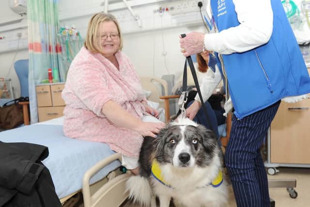 Clara the pet therapy dog with Loraine Moir