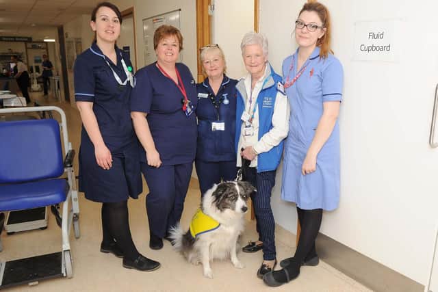 Nurses Kelly Cole, Rachael Wheeler, Pam Whalley and Alice Farmer with Frankie North (second right) and Clara
