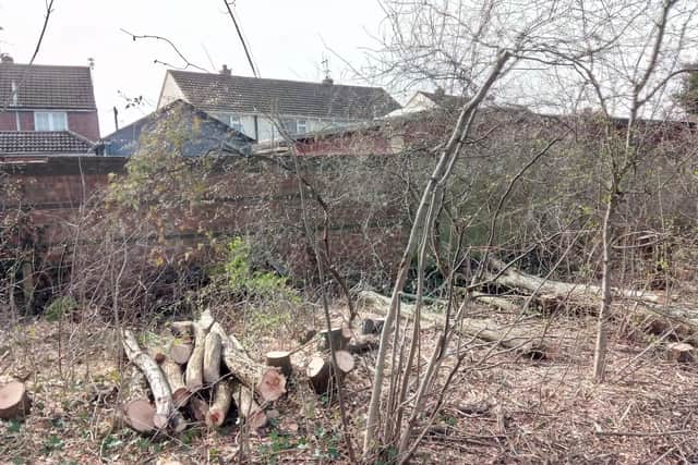 The felled trees behind resident's gardens.