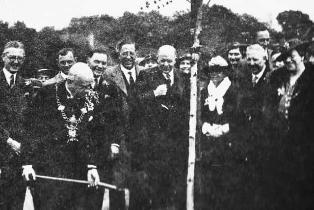 On the Coronation of George VI in 1937 a tree was planted on Portsdown Hill. Is it still there?