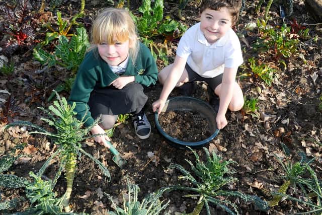 Children at Wicor Primary School, have been involved in a whole host of eco projects including cultivating their own fruit and veg and producing their own environmentally friendly soap.Pictured is: Phoebe Ward (7) and George Martin (7) in the allotment. Picture: Sarah Standing (150219-9289)