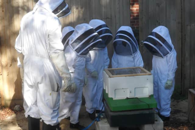 Children looking after one of the school's five bee hives.