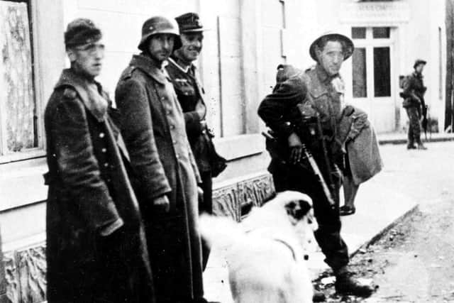 The dog called Barri belongs to the Germans. Photo taken in Arromanches on DDay  - men of the Hampshire Regiment have taken the town.
Barri renamed Fritz became the Regiment Mascot of the Royal Hampshire Regiment