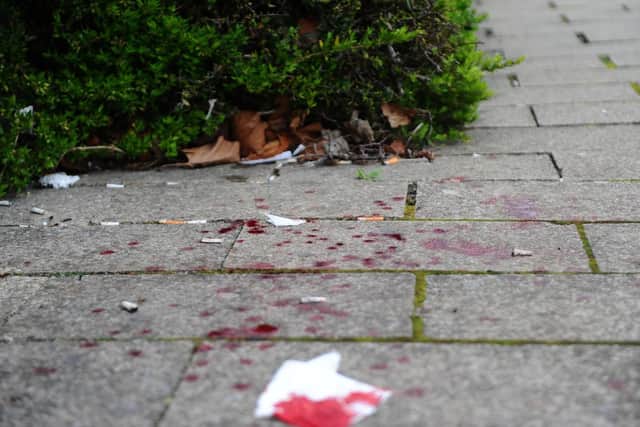 Blood trailed across the pavement running through Ravelin Park. Picture: Sarah Standing (210319-2639)