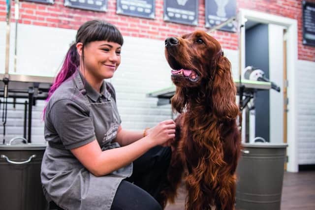 The Spa pamper and groom salon