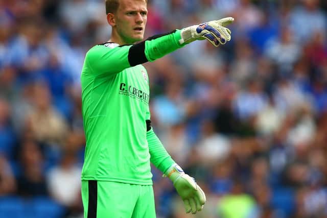 Pompeys Craig MacGillivray and Sunderlands Jon McLaughlin have enjoyed superb seasons. But Adam Davies deserves to be between the sticks. He has recorded 18 clean sheets so far, with his form earning him a maiden cap for Wales.