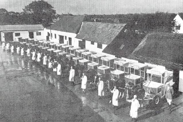 A superb photograph of Tom Parker's milkmen with their 17 floats and horses. Picture: Eddy Amey collection