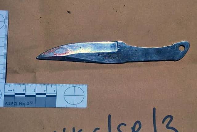 The knife used by Ashley Luff to stab Nathan Birch 17 times in Southampton Road, Park Gate on August 19 in 2018. Picture: CPS Wessex
