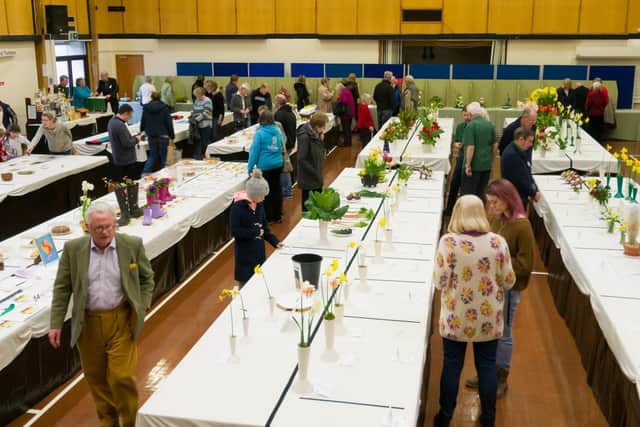 The Hayling Island Horticultural Society has more than 800 numbers and is gearing up to put on its Spring Show for 2019.  Members create floral displays  enjoyed by visitors, and judged by Cllr Peter Wade, Mayor of Havant. Picture: Duncan Shepherd