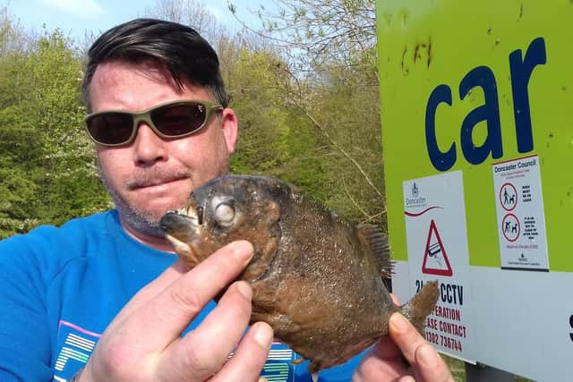 Davey Holmes with the deadly man-eating pirahna fish found in Doncaster. (Photo: Lisa Holmes)