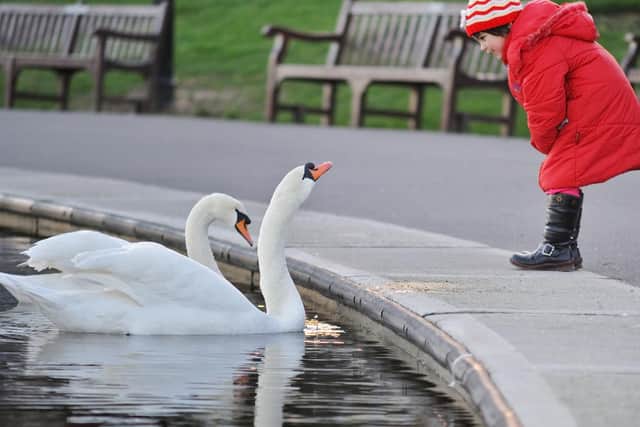 This popular park dates back to 1866 and has a man made lake with pedal boats for hire. With the warm weather expected for the weekend, it will be a great place to enjoy the sunshine.