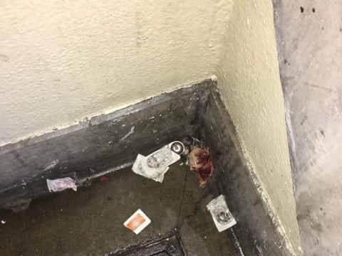 Pictures from inside Idsworth House in Craswell Street shows two drug addicts with needles, blood covered rags, and litter strewn around them.