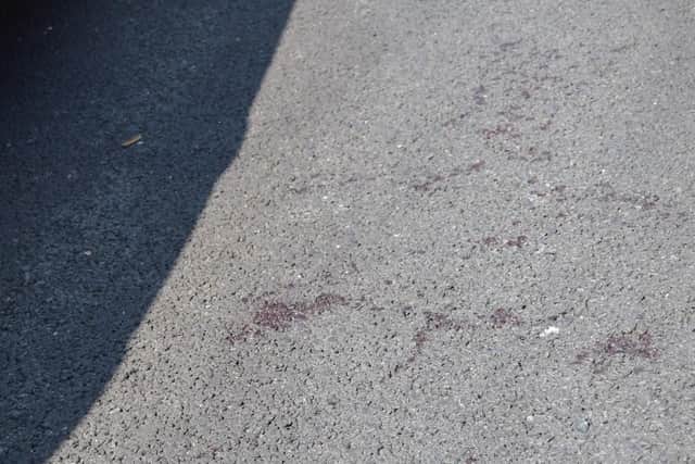 A 100m-long trail of blood was left splattered across the road and pavement in Lynton Grove. Photo: Tom Cotterill