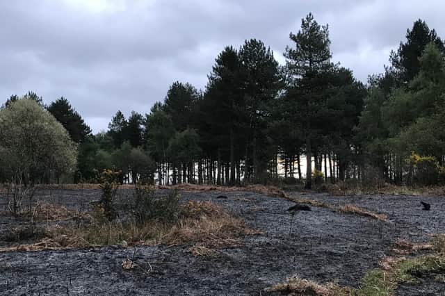 Land left scorched at Havant Thicket after a 300m by 300m blaze in the early hours of the morning. Picture: Glenn Kavanagh