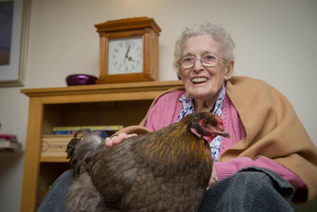 96-year-old Patricia with Smokey the hen
Picture: Habibur Rahman